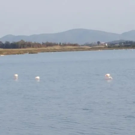 农家乐 Sogno Sulcitano *