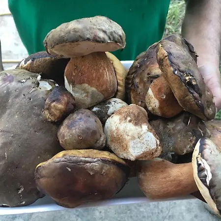 Sogno Sulcitano * Masainas