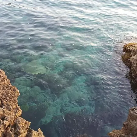 Sogno Sulcitano 农家乐