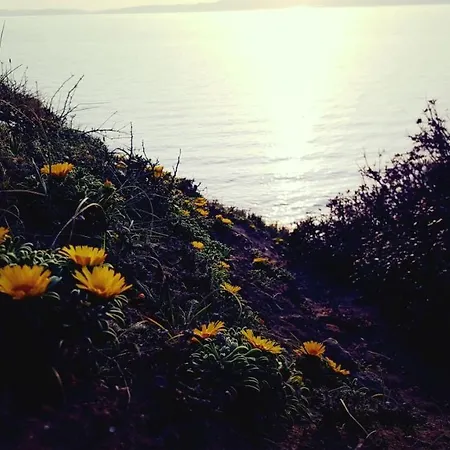 农家乐 Sogno Sulcitano