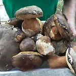 Sogno Sulcitano * Masainas