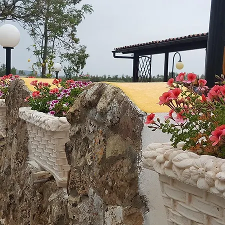 Sogno Sulcitano * Masainas