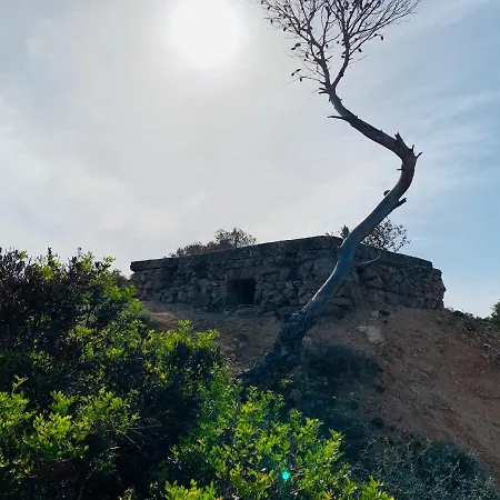 Sogno Sulcitano