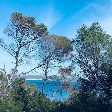 Sogno Sulcitano *