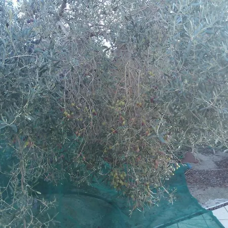 Alojamento de Turismo Rural Sogno Sulcitano Masainas